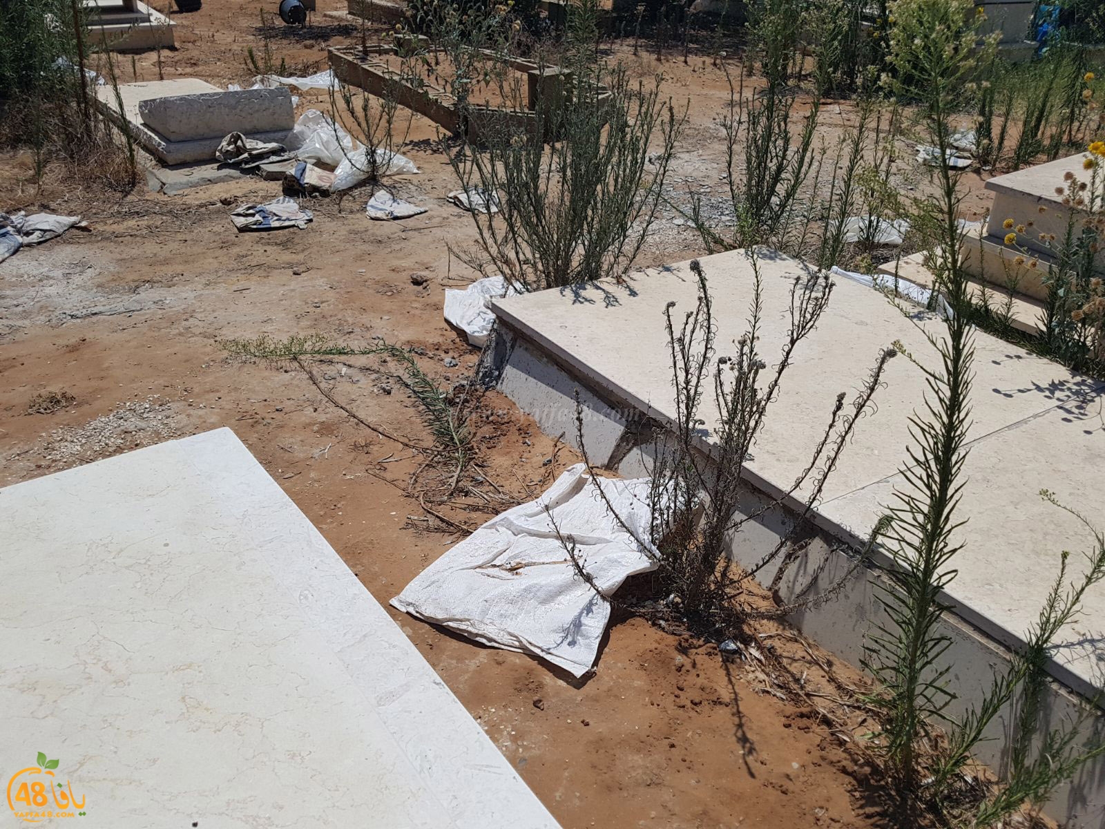 tasoo mabkqbara (9).jpg